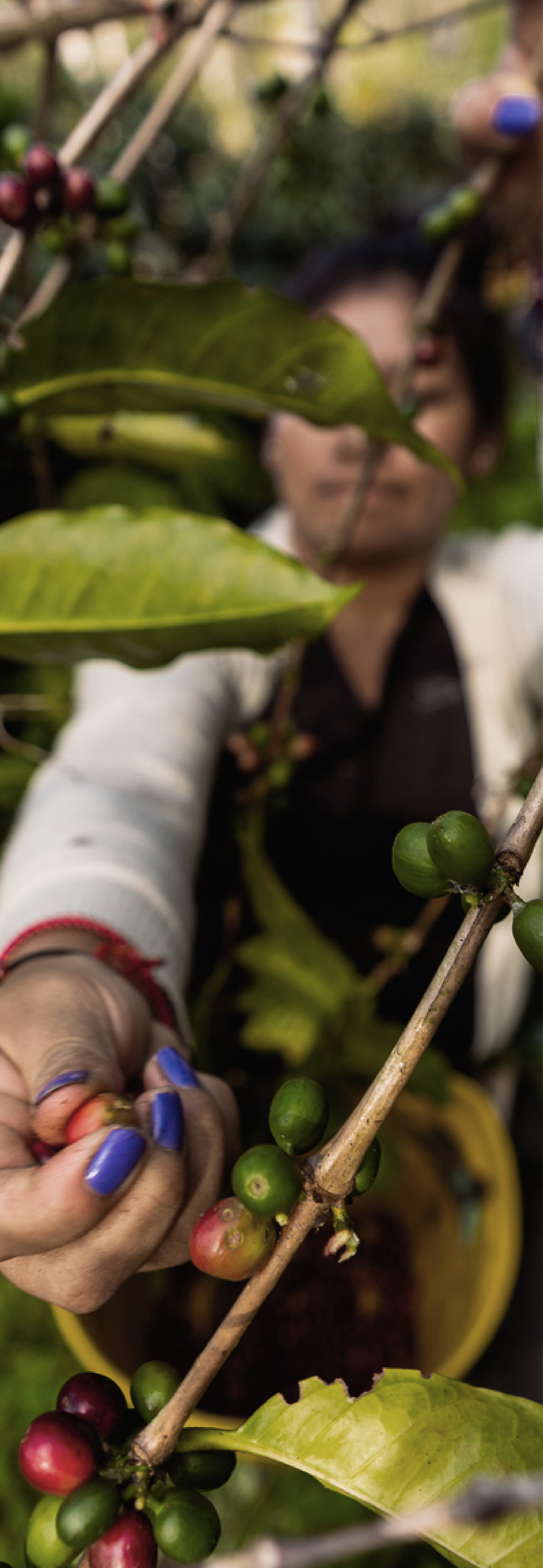 Conscious Coffees